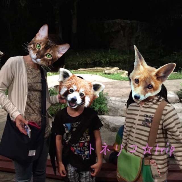 ナイトサファリ クリーチャー オブ ザ ナイトショー