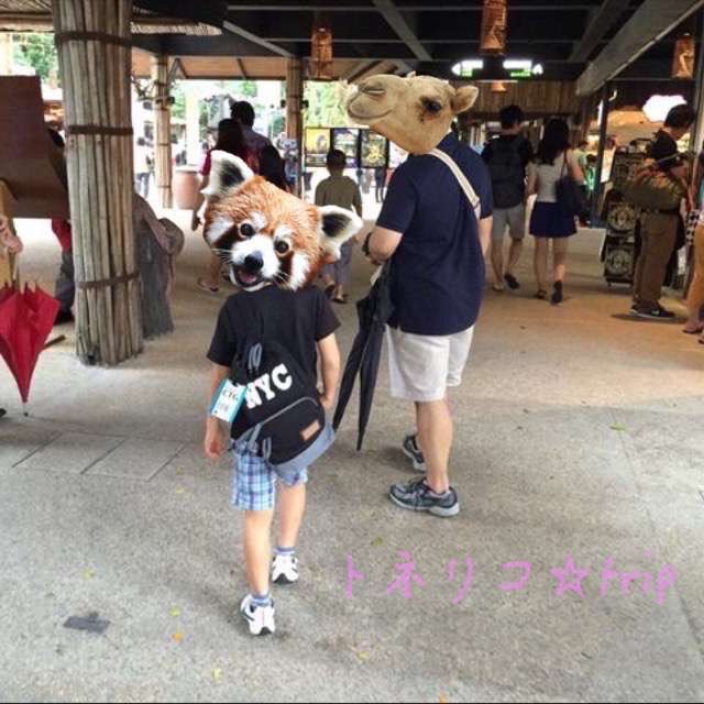 ナイトサファリ
