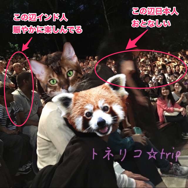 シンガポールのナイトサファリ クリーチャー オブ ザ ナイトショー