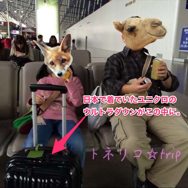 上海プードン浦東空港 乗り換えトランジット