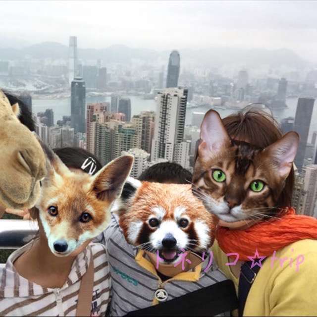 ヴィクトリアピークからの景色