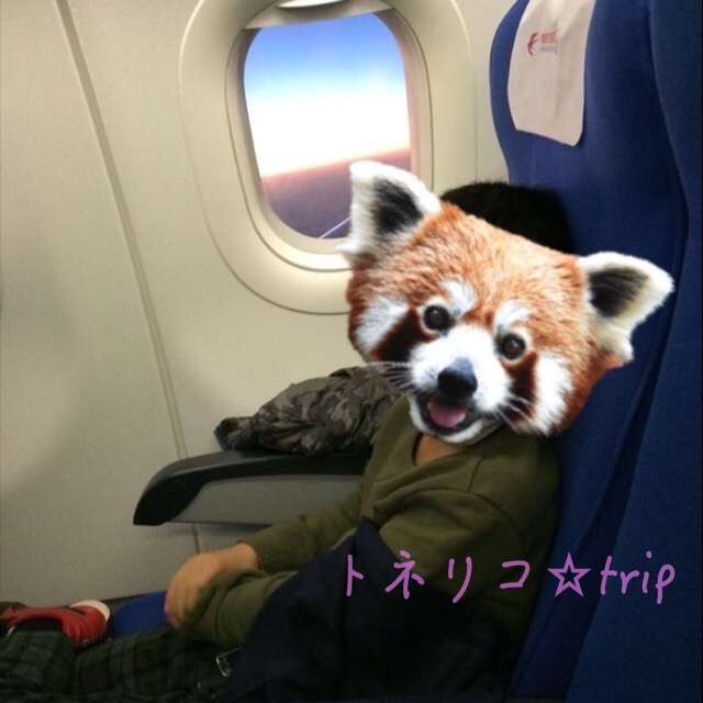 機内の様子 中国東方航空