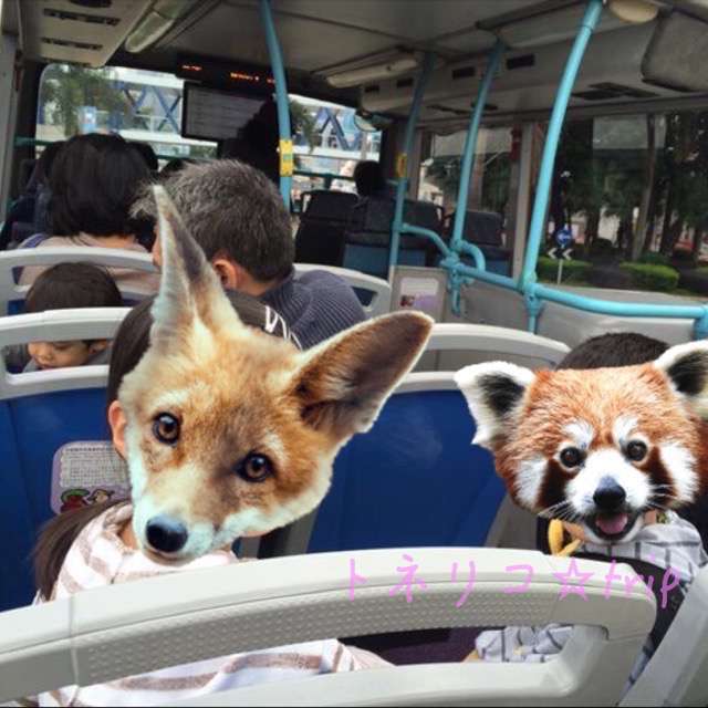 Open top bus02