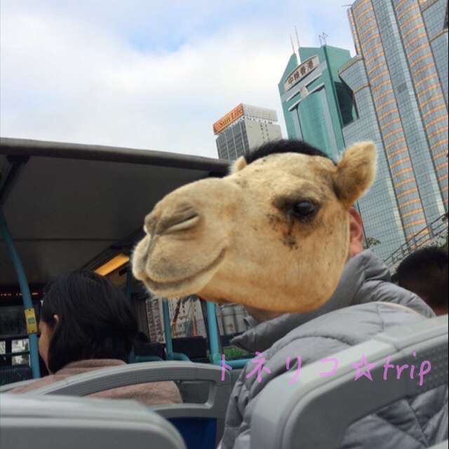 オープントップバスに乗ります