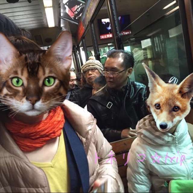 香港ピークトラムに乗ります