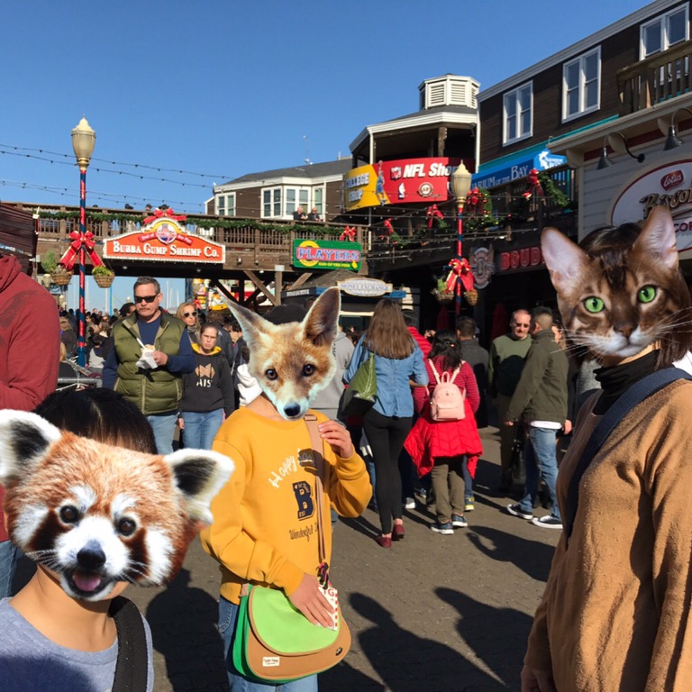 サンフランシスコのピア39