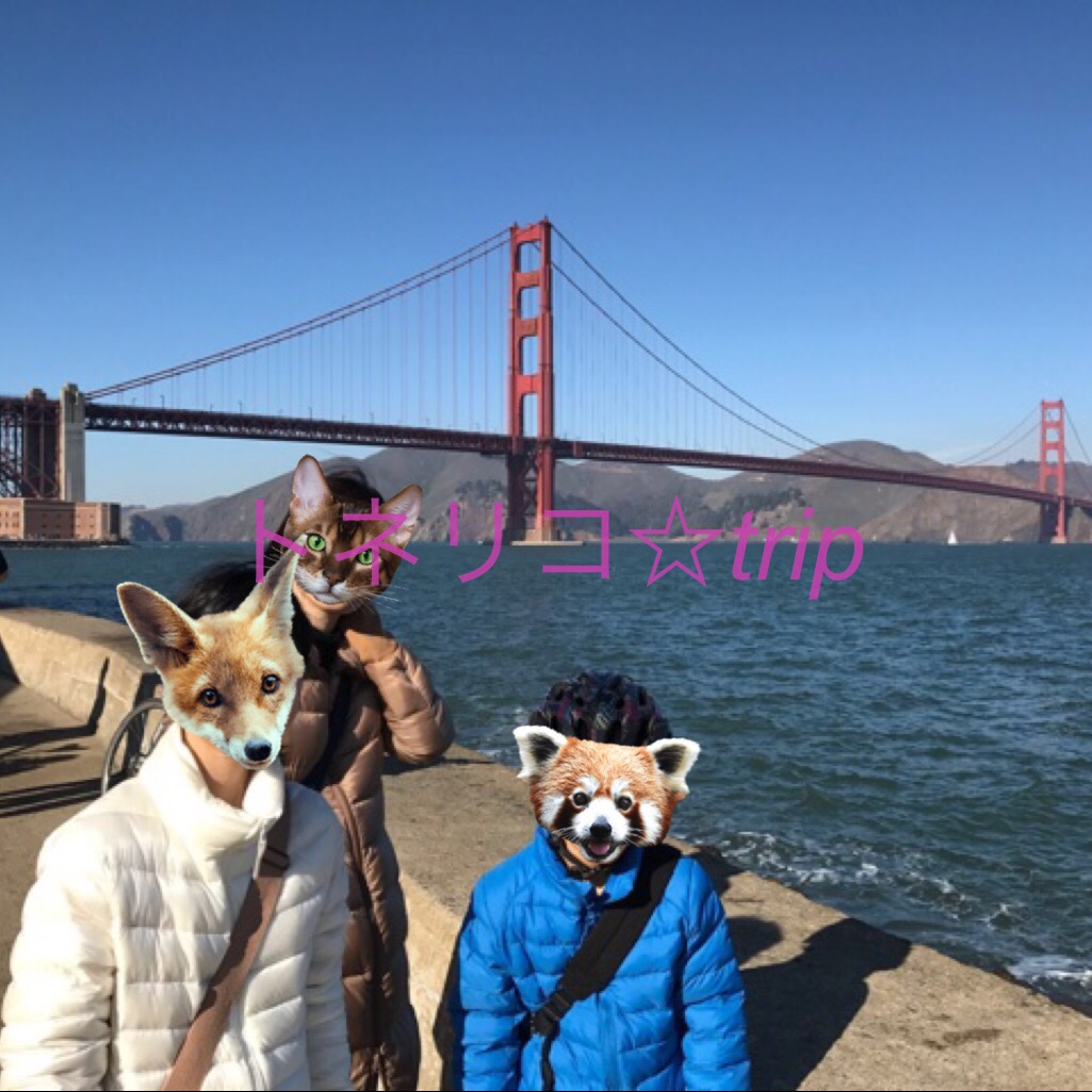ゴールデンゲートブリッジまでレンタルサイクルで来ました