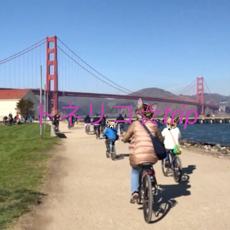 ゴールデンゲートブリッジまでレンタルサイクルで来ました