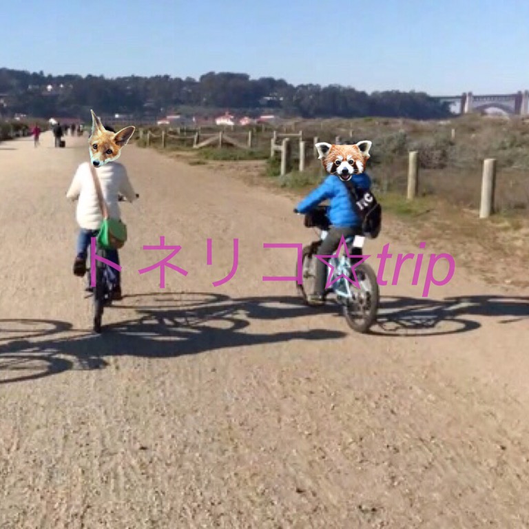 サンフランシスコのレンタルサイクルでゴールデンゲートブリッジへ