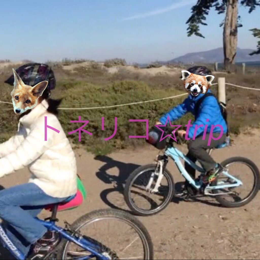 サンフランシスコのレンタルサイクルでゴールデンゲートブリッジへ