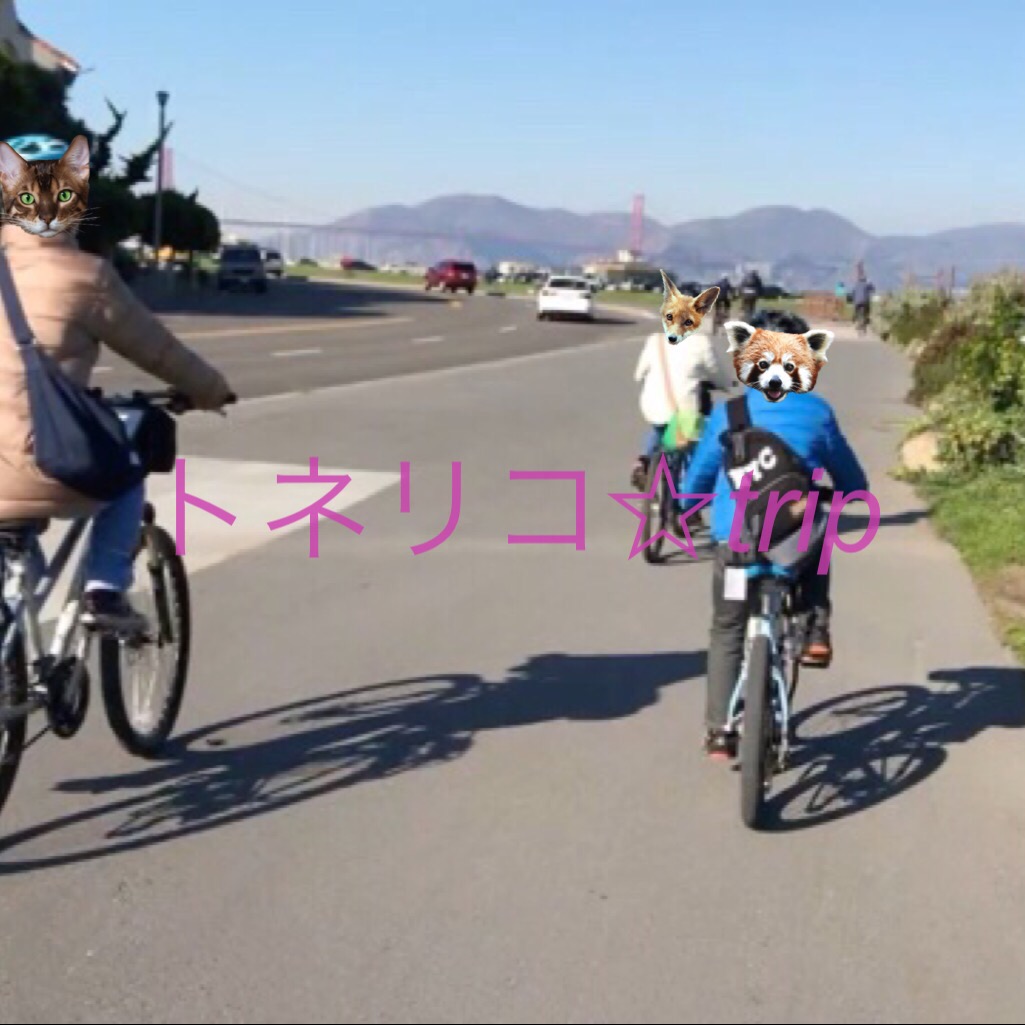 サンフランシスコのレンタルサイクルでゴールデンゲートブリッジへ