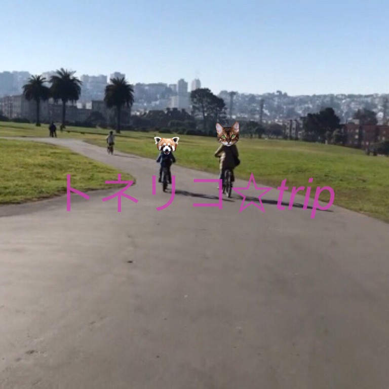 サンフランシスコのレンタルサイクルでゴールデンゲートブリッジへ