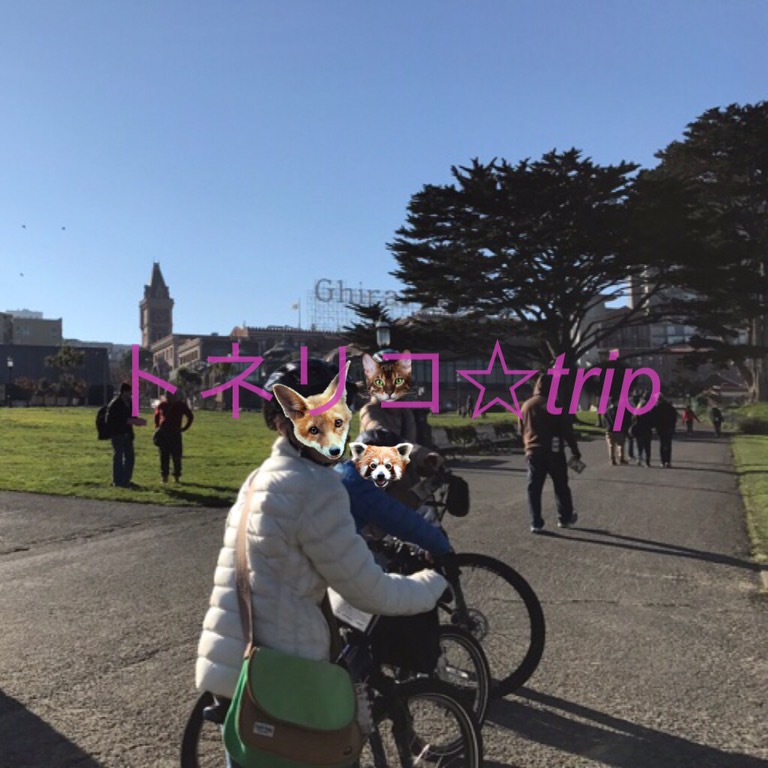 サンフランシスコのレンタルサイクルでゴールデンゲートブリッジへ