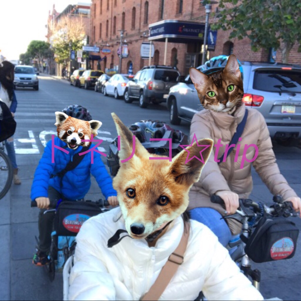 サンフランシスコのレンタルサイクルでゴールデンゲートブリッジへ