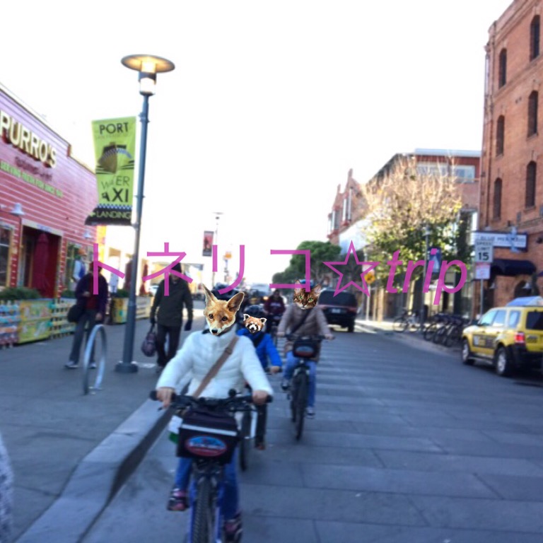 サンフランシスコのレンタルサイクルでゴールデンゲートブリッジへ