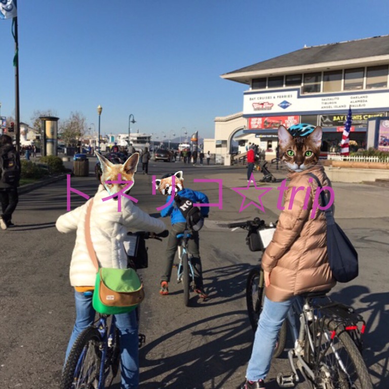 サンフランシスコのレンタルサイクルでゴールデンゲートブリッジへ