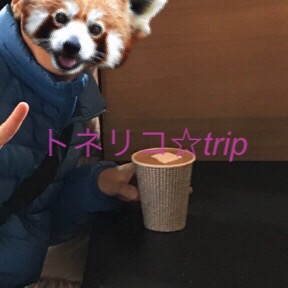 ダンデライオン サンフランシスコ